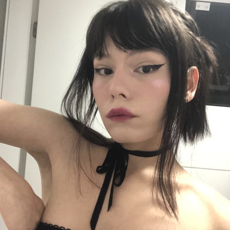 Bunny 40