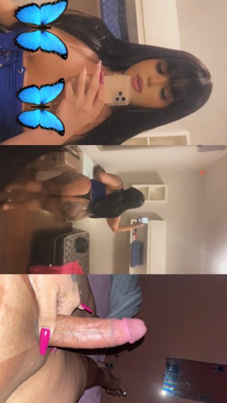 Vittoria 7