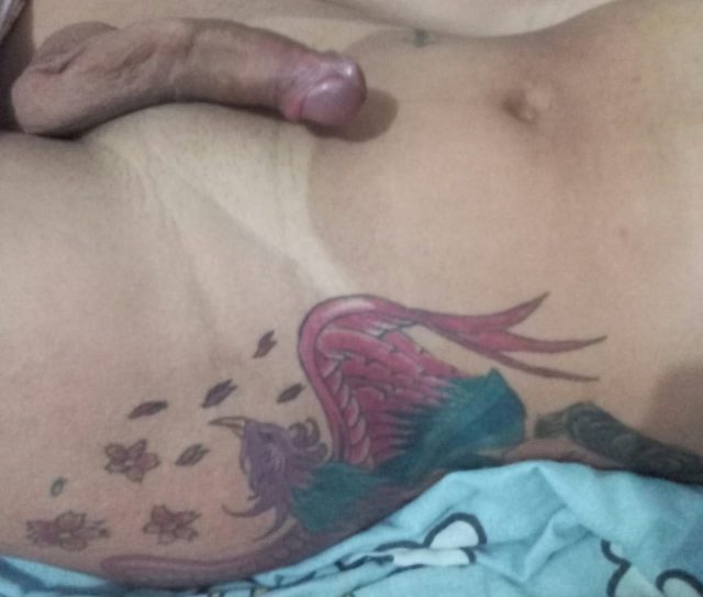 Lavinha Japa 81