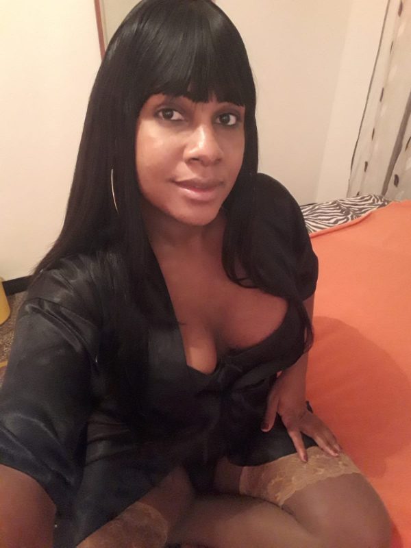 Morena Trans 16