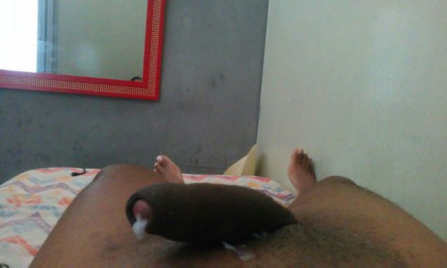 Travesti Com Local ⋆ O maior site de Acompanhantes Trans do Brasil @ travesticomlocal.com.br