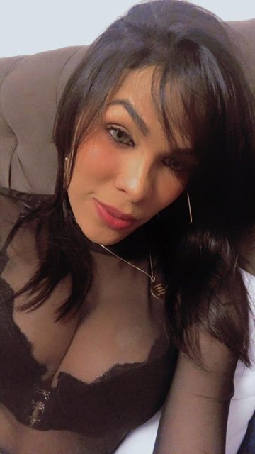 Priscila Gatíssima 338
