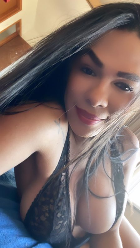 Priscila Gatíssima 567