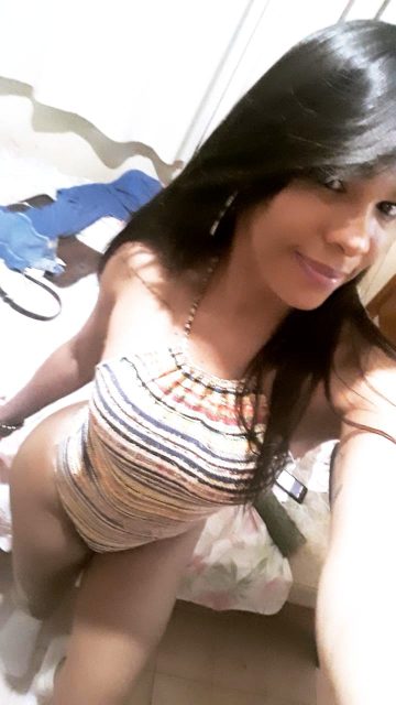 Priscila Gatíssima 390