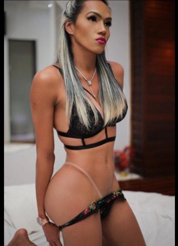 Japa Trans 19
