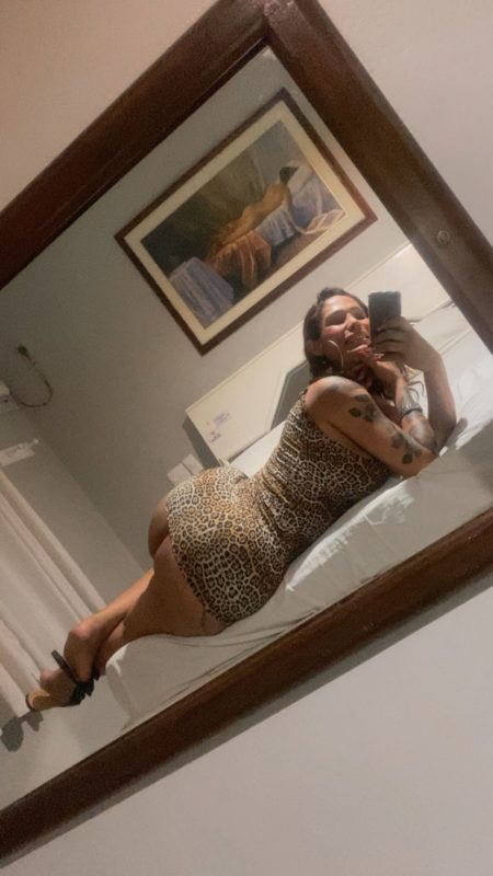 Priscilla Trans 26
