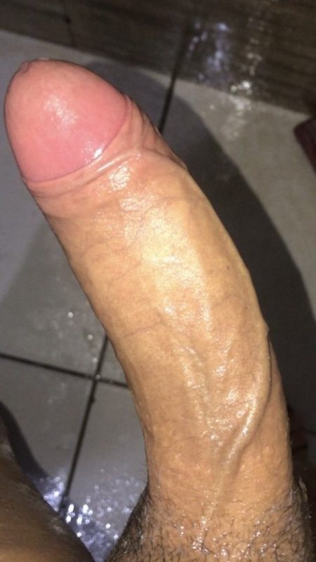 Abela Michely 25