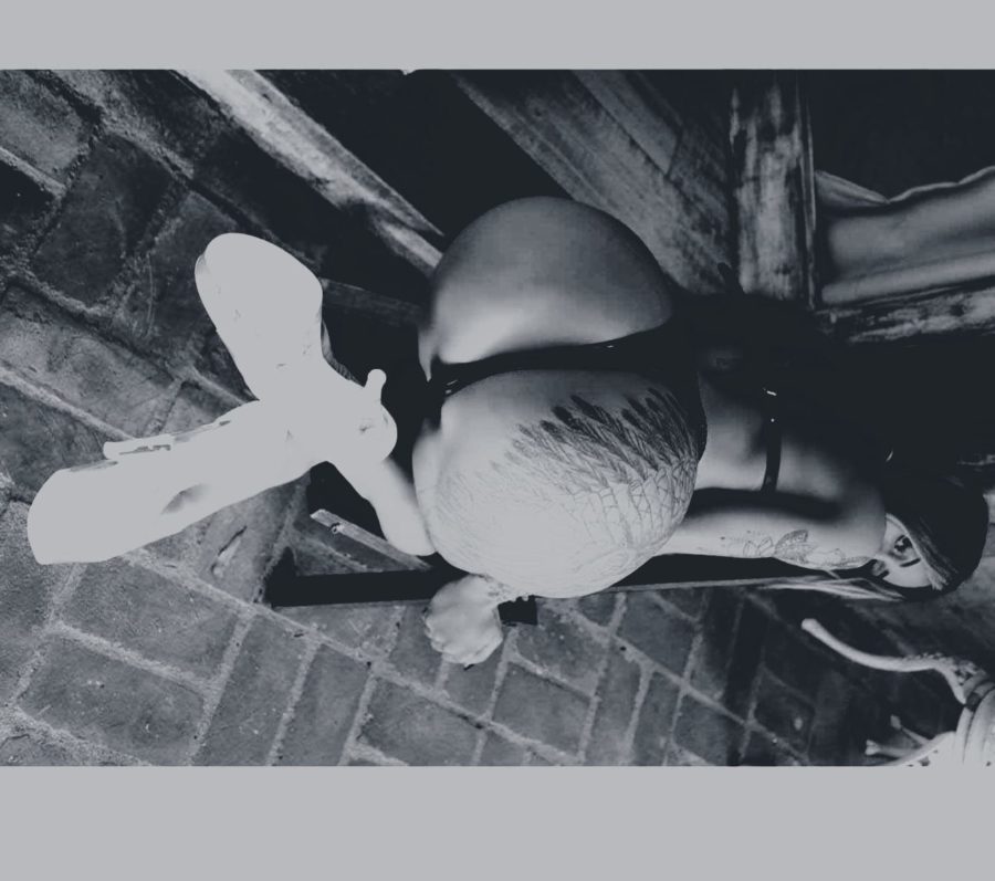 🕒 24 horas @ travesticomlocal.com.br