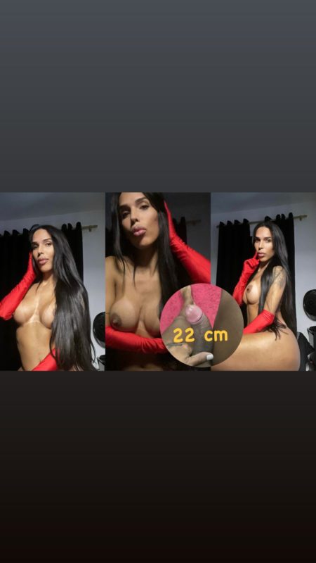 Bruna Top Trans