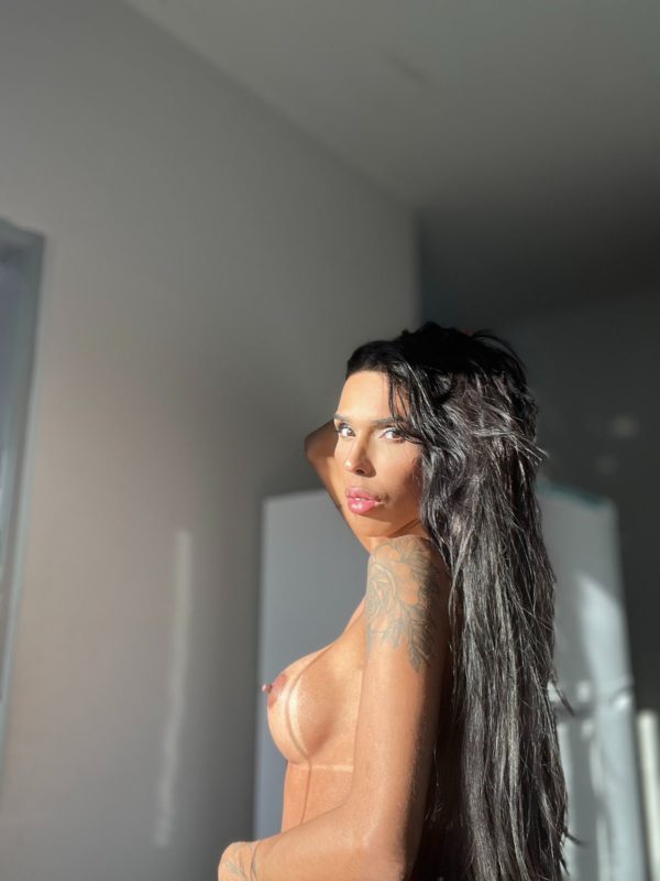 Bruna Top Trans 53