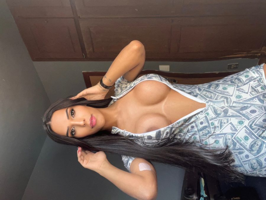 Bruna Top Trans