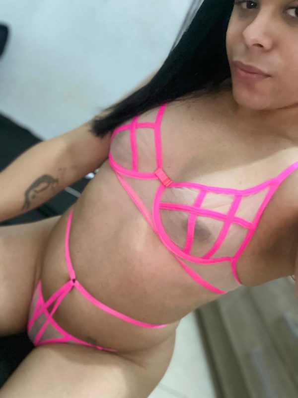 Samy Trans 13