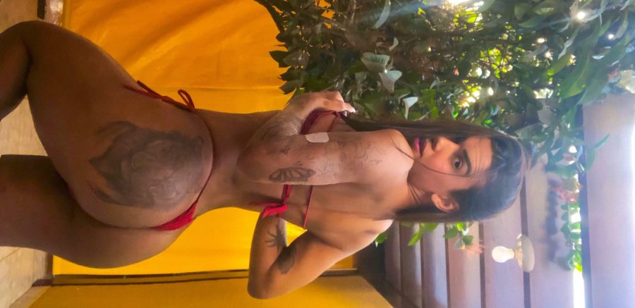 Duda Mineira