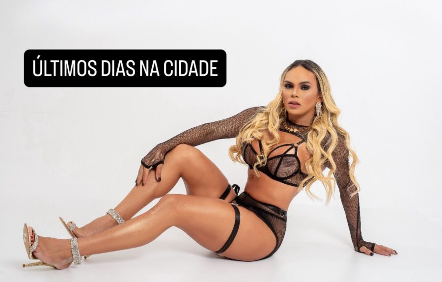 Marcela Araujo