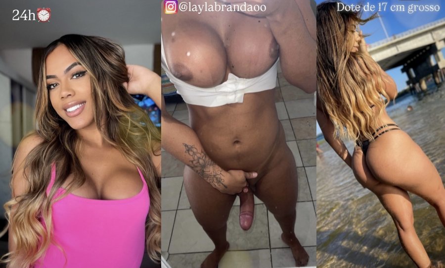 Lay Andrade 7