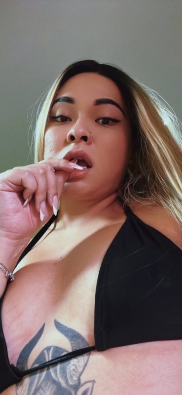 Lolla Pauzuda 3