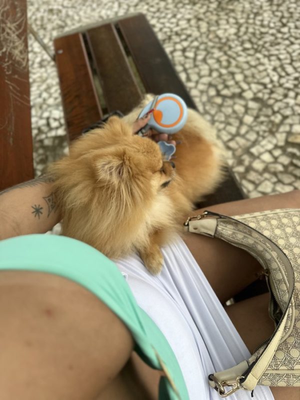 Renata Carrie 7