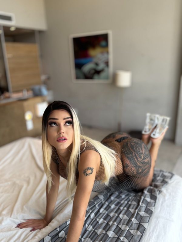 Coelhinha Trans 15