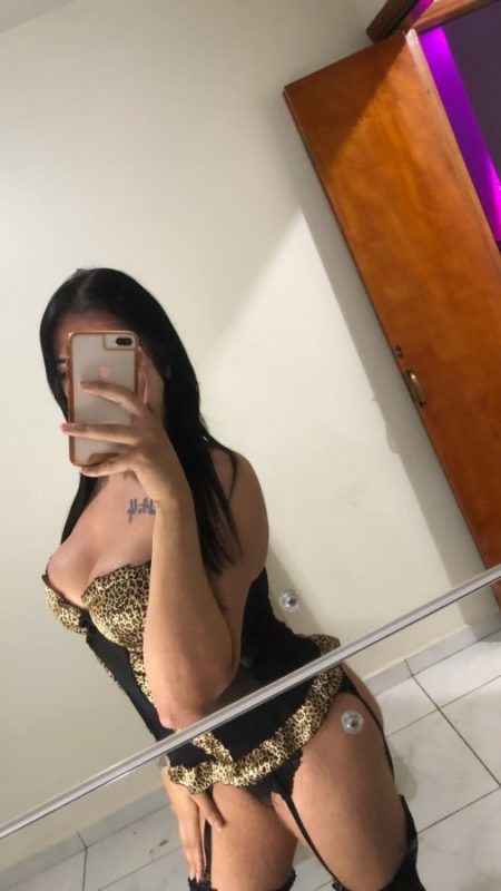 Priih Liberal 13