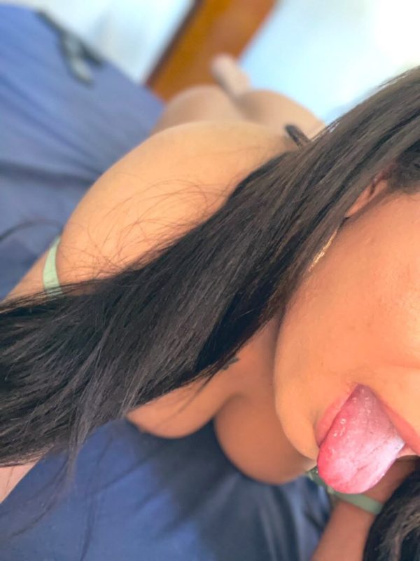 Priih Liberal 15