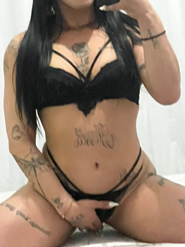 Camilli Sasha 6