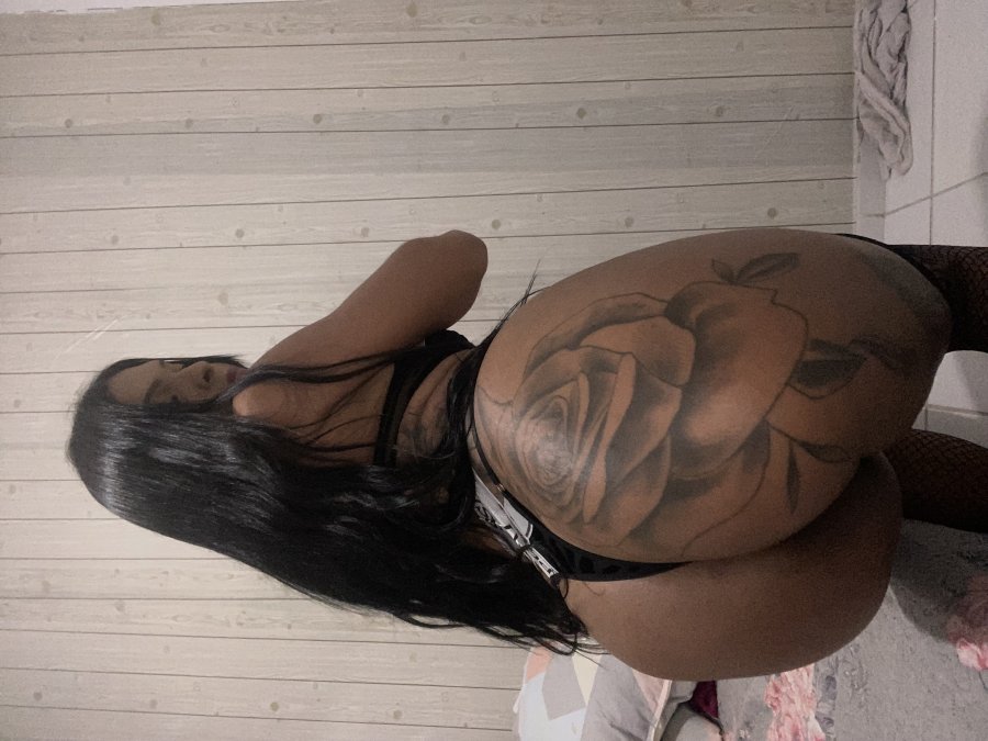 Leticia Amorim 12