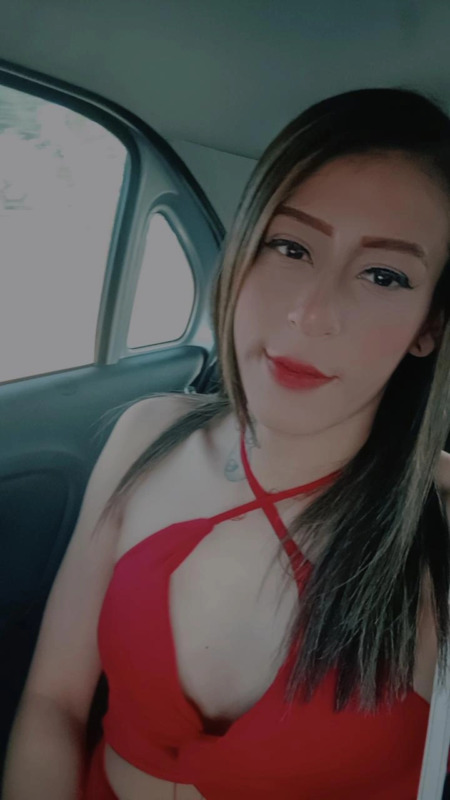 Paloma 3