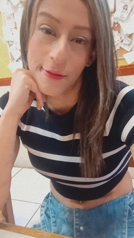 Paloma 4