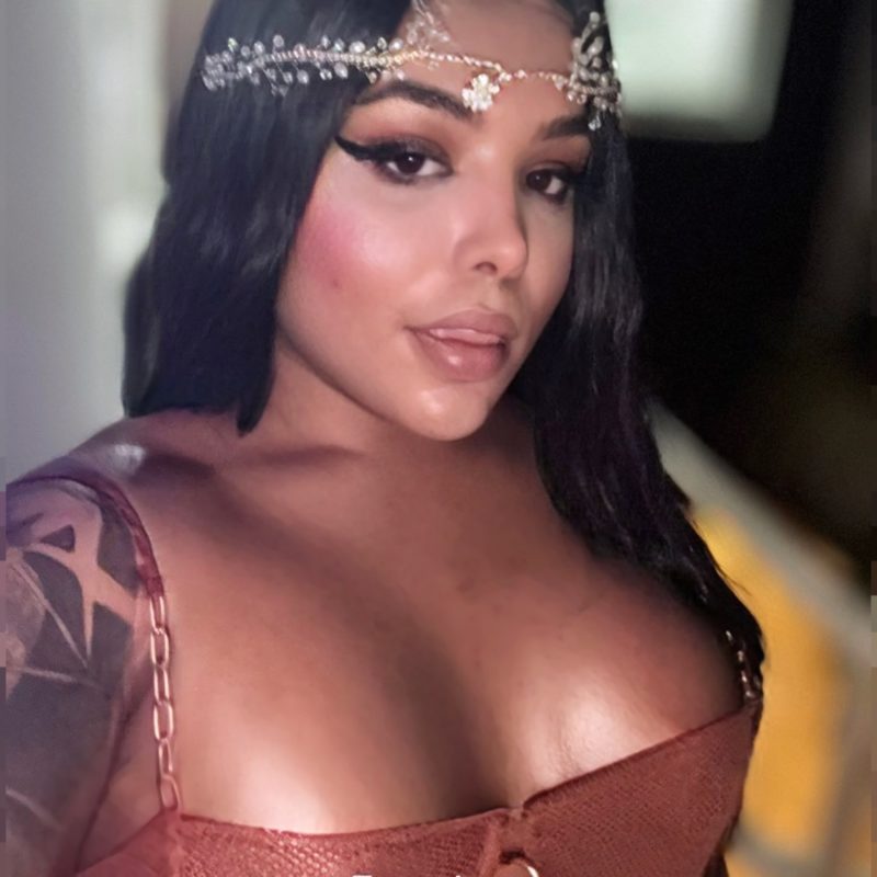 Angelotti Dominadora 8