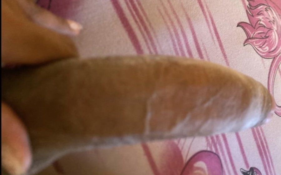 Paolla Ferreira 1
