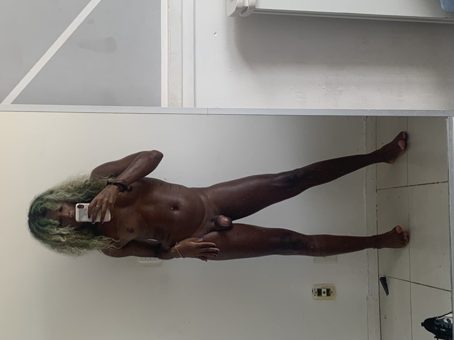 Gata Caribenha 94