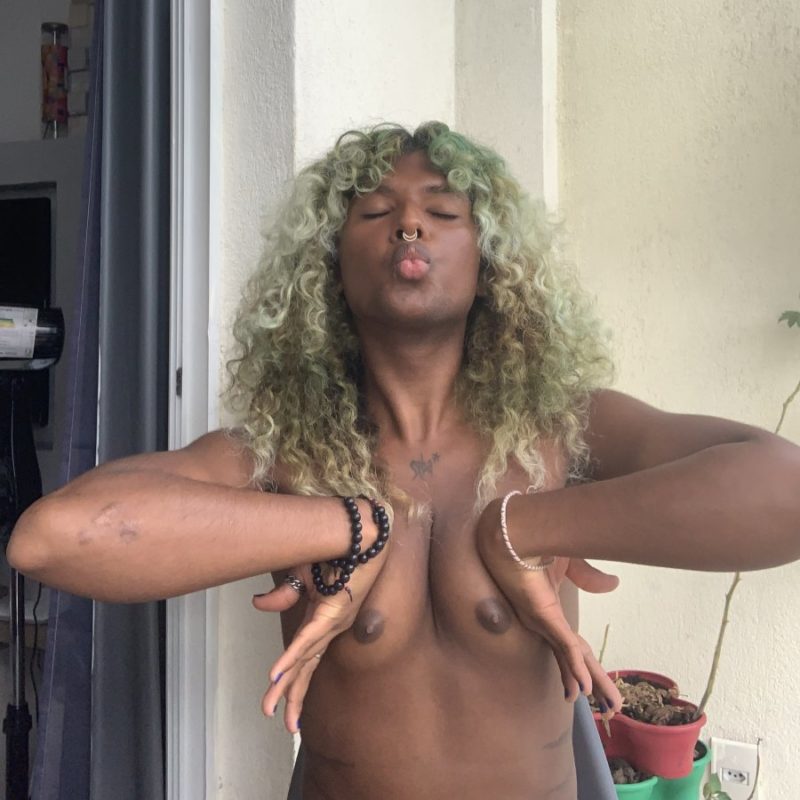 Gata Caribenha 144