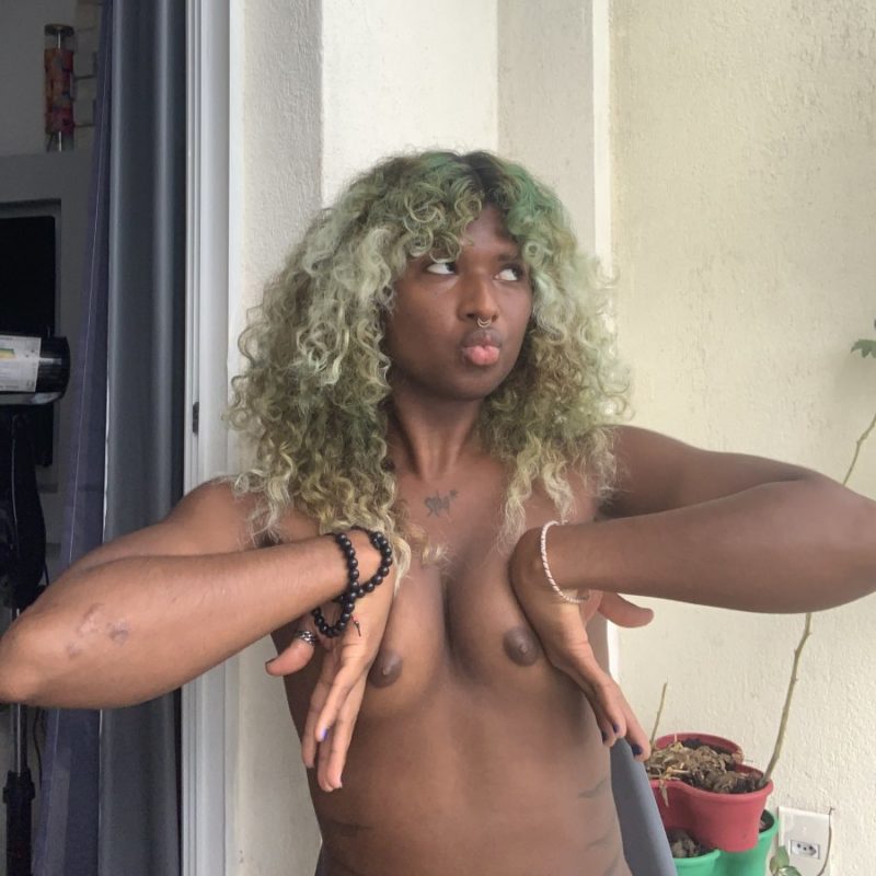 Gata Caribenha 145