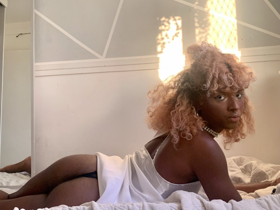 Gata Caribenha 55