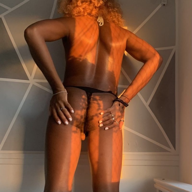 Gata Caribenha 34
