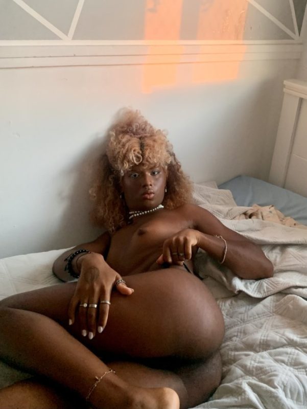 Gata Caribenha 27