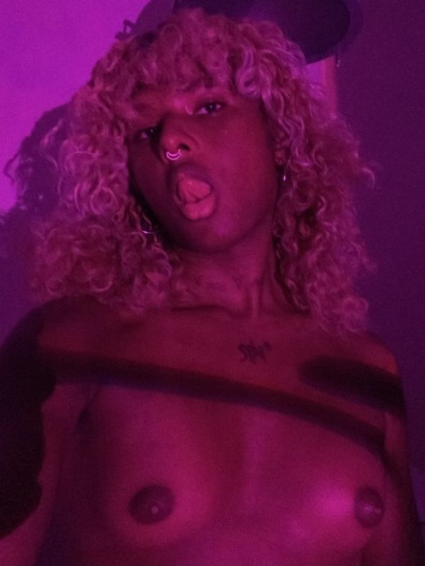 Gata Caribenha 3