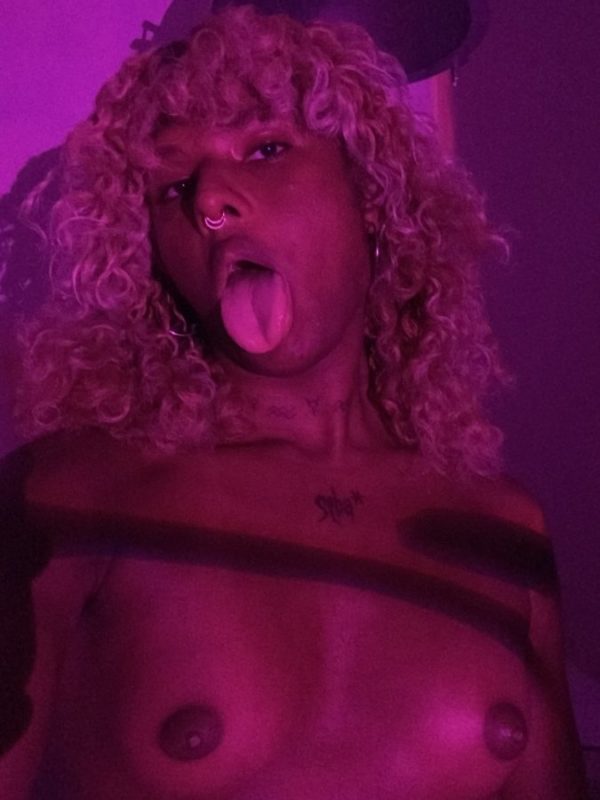 Gata Caribenha 2